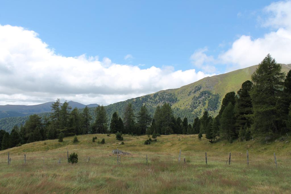 Turracher Berghutte Turracher Hohe Exteriér fotografie